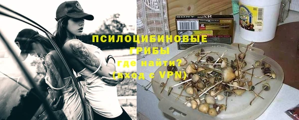 трава Верхнеуральск