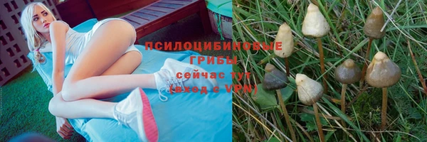 скорость mdpv Верхний Тагил