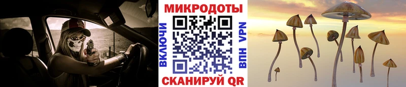 Галлюциногенные грибы GOLDEN TEACHER  Тула 